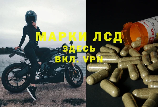альфа пвп Санкт-Петербург