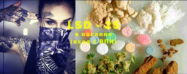 шишки Весьегонск