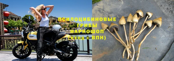 альфа пвп Санкт-Петербург