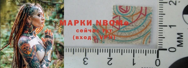 шишки Весьегонск
