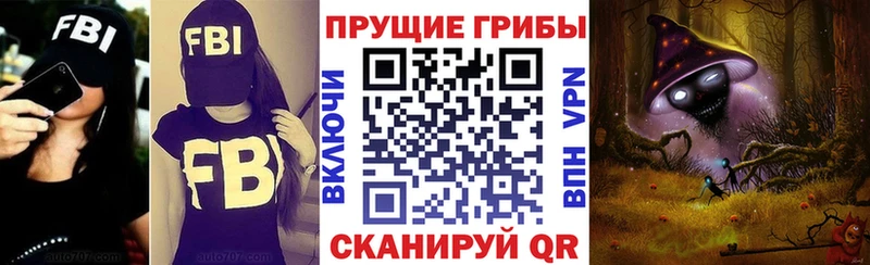 мориарти как зайти  Тверь  Псилоцибиновые грибы ЛСД 