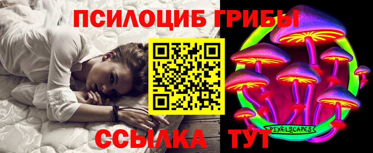 Тверь  Галлюциногенные грибы прущие грибы  Вход с VPN 